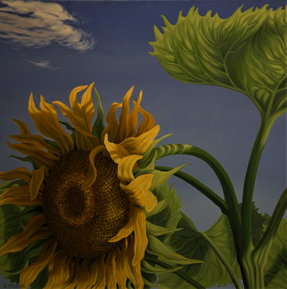 <p style="font-size: 16px; line-height: 150%;"><strong><em>Sunflower</em></strong>&emsp;<br />
  oil painting&emsp;<br />
30&rdquo; x 30&rdquo; | <strong>SOLD</strong></p>