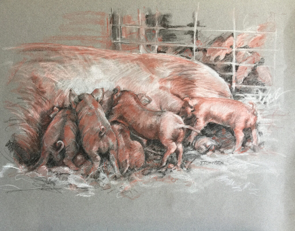 <p style="font-size: 16px; line-height: 150%;"><em><strong>Pile of Piglets&emsp;<br>
</strong></em>Charcoal and Conte  / 31&rdquo; x 27&rdquo; / Framed&emsp;<br>
<strong>$500</strong></p>